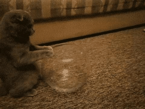 牛顿棺材板压不住时，请祭出此物防身！