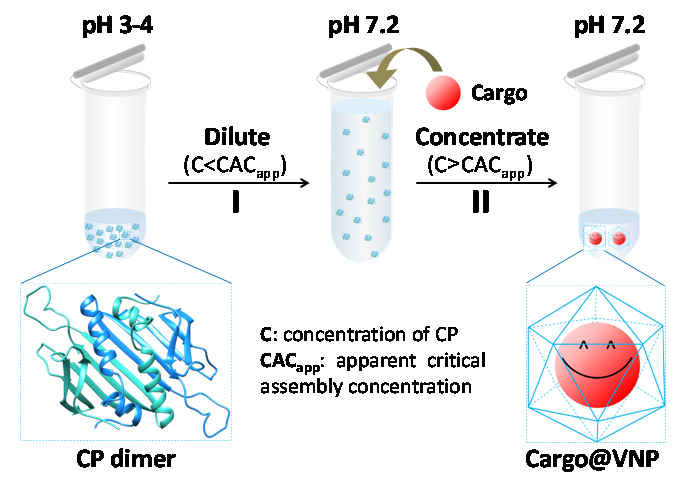 纳米技术概念分类_纳米技术生活应用_分子纳米技术应用