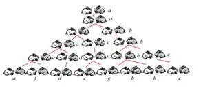 自然之美斐波那契数列_斐波那契数列兔子繁殖问题_斐波那契数列生活应用