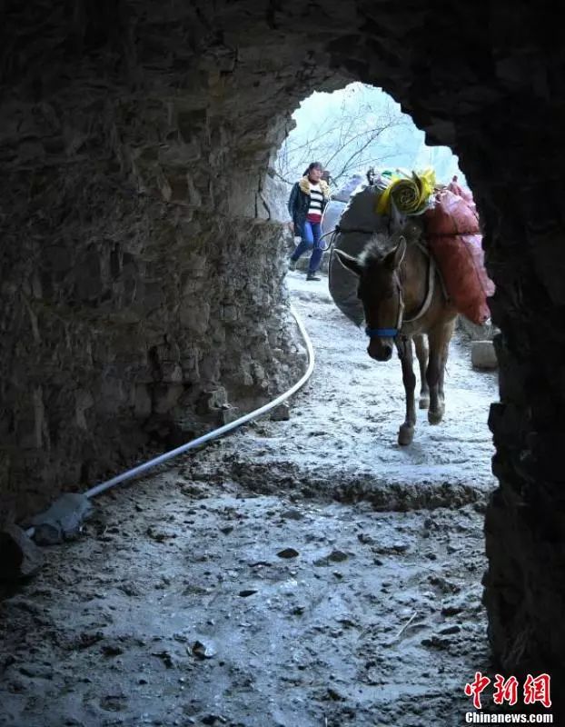 新闻美女游戏直播_游戏新闻 美女_新闻美女游戏视频