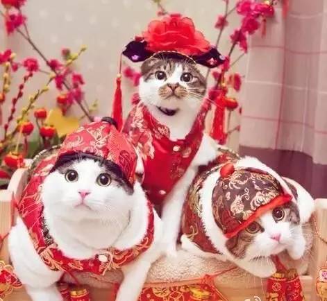 美拍头像图片_头像美拍图片唯美_头像美拍图片女生