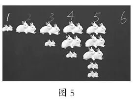 斐波那契数列生活中有哪些应用_斐波那契数列应用于生活_斐波那契数列生活应用