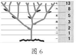 斐波那契数列生活应用_斐波那契数列应用于生活_斐波那契数列生活中有哪些应用