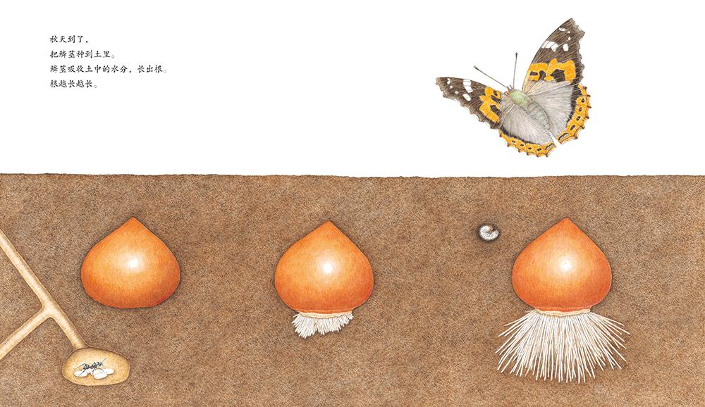 幼儿园家长进课堂 绘本教学活动设计 家长课堂互动技巧_幼儿园游戏专题总结