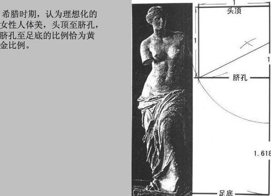 斐波那契数列应用于生活_斐波那契数列生活应用_斐波那契数列生活中有哪些应用