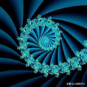 斐波那契数列生活应用_斐波那契数列应用于生活_斐波那契数列生活中有哪些应用