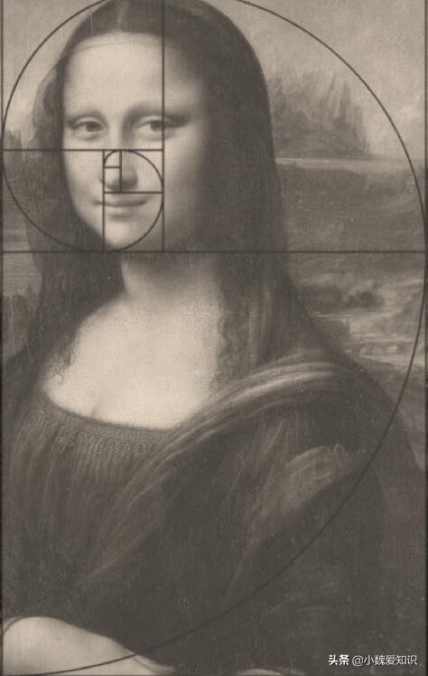 斐波那契数列生活应用_斐波那契数列生活中有哪些应用_斐波那契数列应用于生活