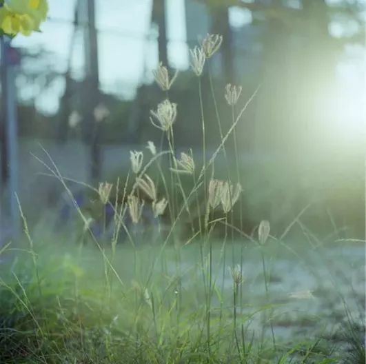 解决问题新方法_逆向思维应用_生活逆向思维应用故事