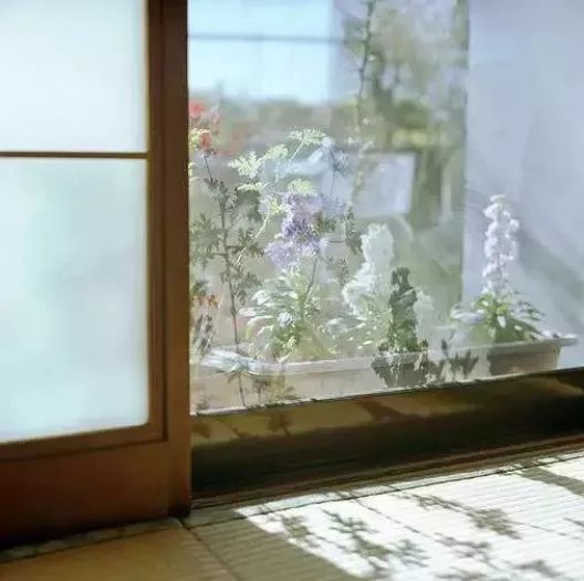 生活逆向思维应用故事_逆向思维应用_生活问题解决技巧