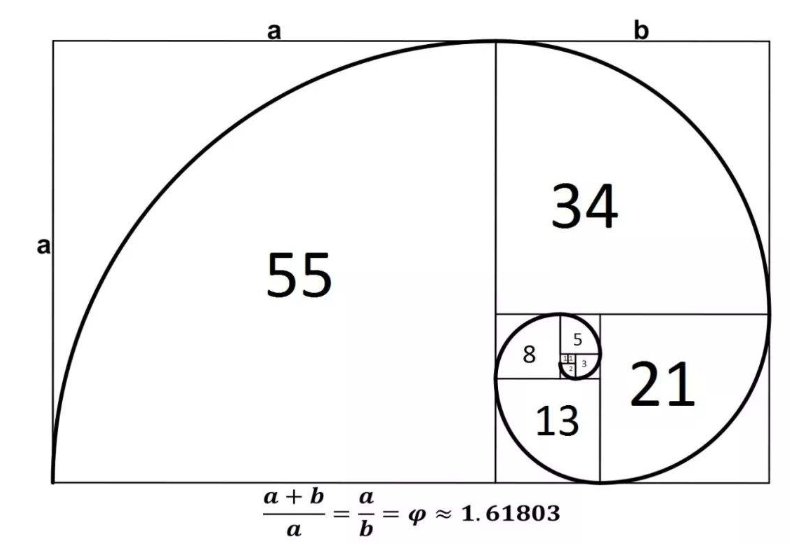 斐波那契数列有什么生活应用吗？