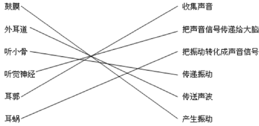听诊器原理生活应用_伯努利原理生活应用_应用应用隐藏器