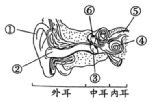 伯努利原理生活应用_应用应用隐藏器_听诊器原理生活应用