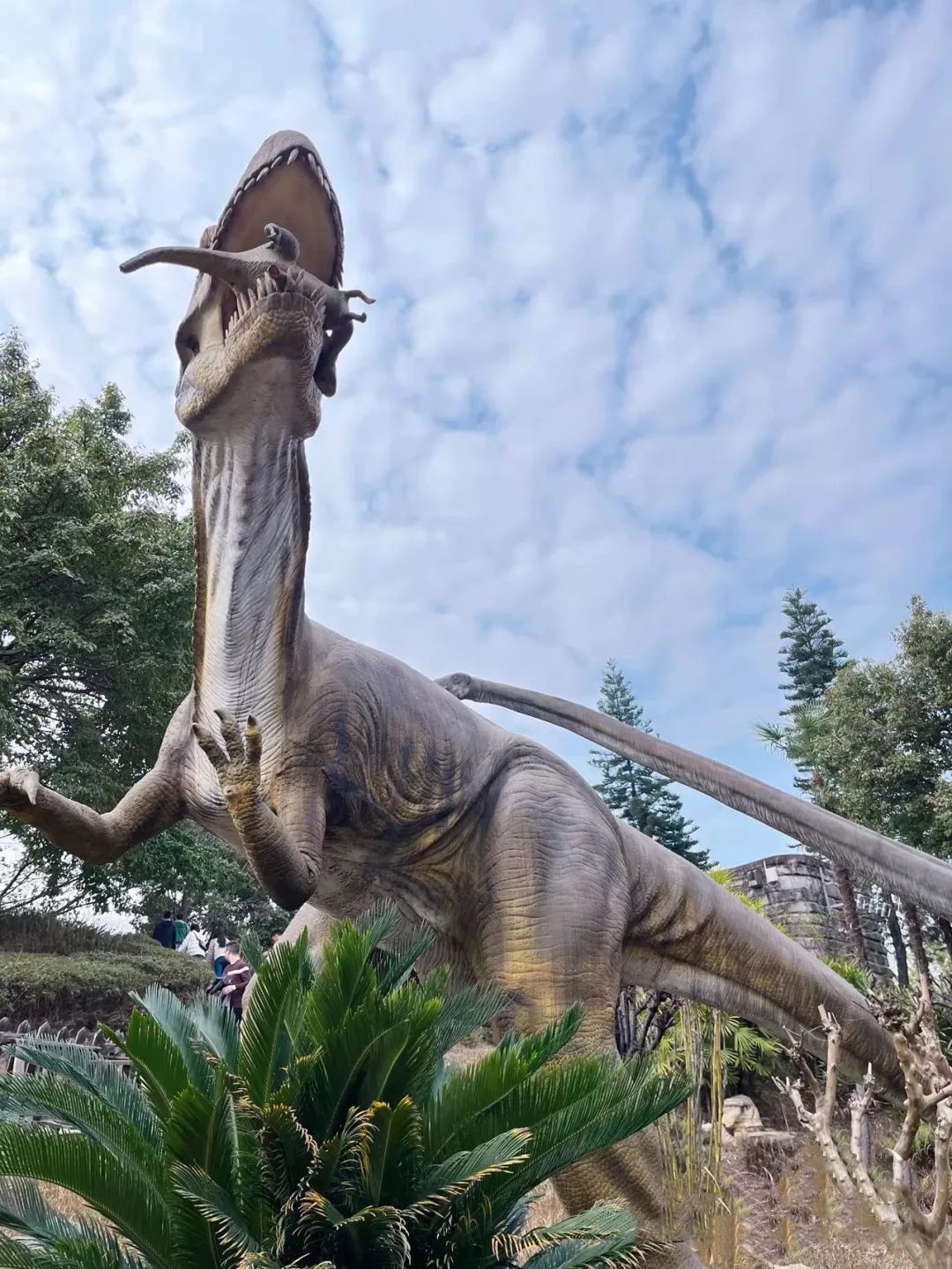 听诊器原理生活应用_电压跟随器应用电路_听诊顺序的原理