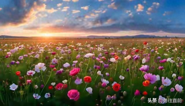 pg下载 这人间纵有千般色，不及你一笑，让岁月皆染了香，融我半生痴望