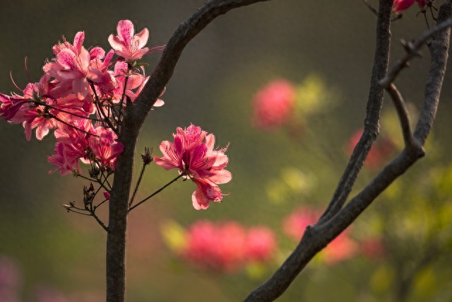 pg下载赏金下载 遇见你，爱上你，一爱到底