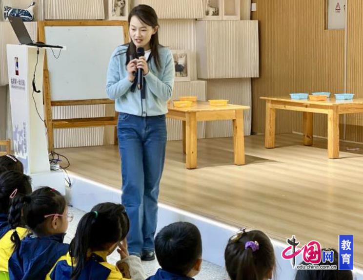 幼儿园游戏专题总结_3-6岁儿童数学核心经验转化_游戏化数学思维培养