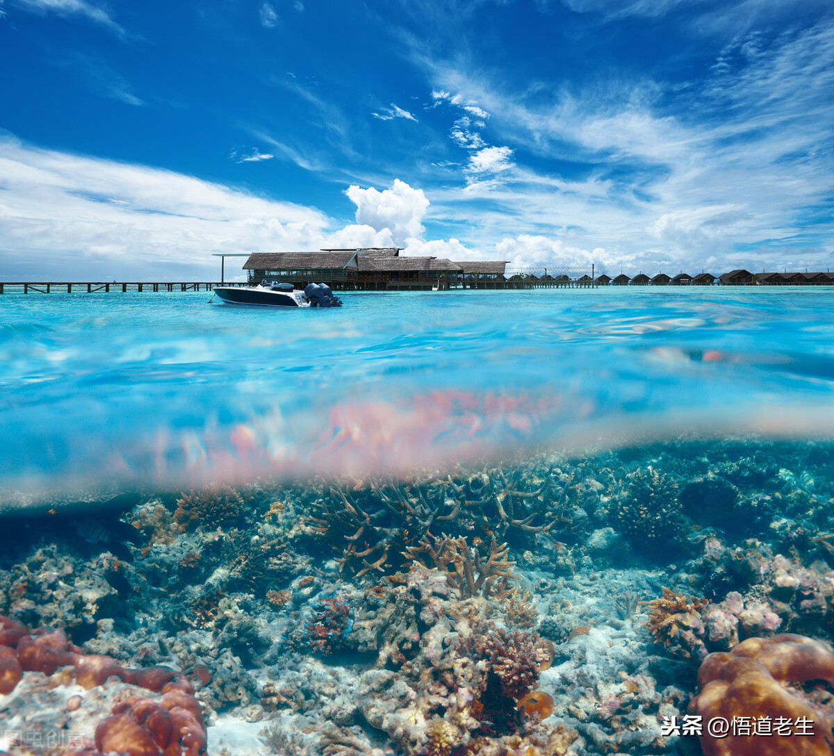 三十六计 瞒天过海 兵法谋略学_三十六计生活应用实例_三十六计 瞒天过海 企业管理案例
