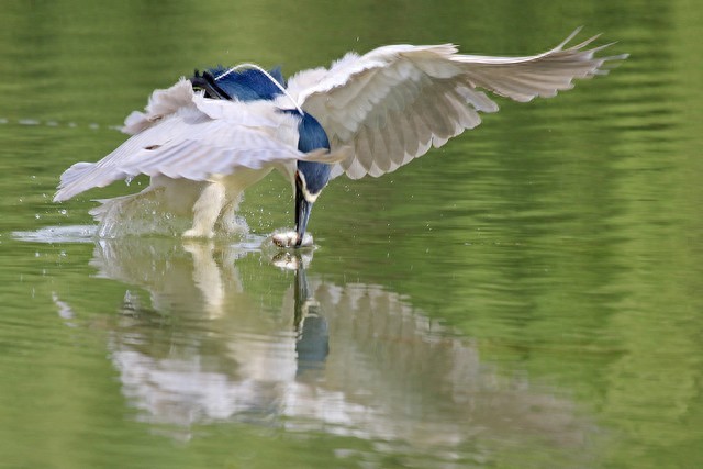 pg下载 朋友靠情谊？错！真正的底气来自钱包！穷光蛋永远没资格谈尊严！