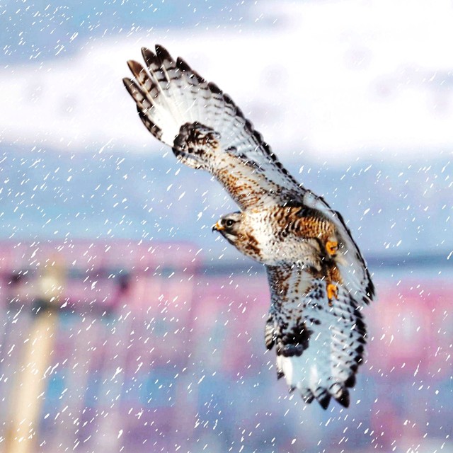 金钱对个人尊严的影响_经济实力与人际关系_人脉圈2:瞬间拓展圈子的人脉心法