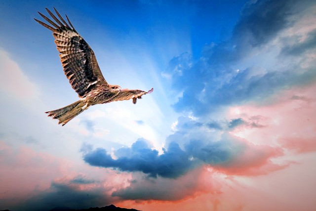 金钱对个人尊严的影响_人脉圈2:瞬间拓展圈子的人脉心法_经济实力与人际关系