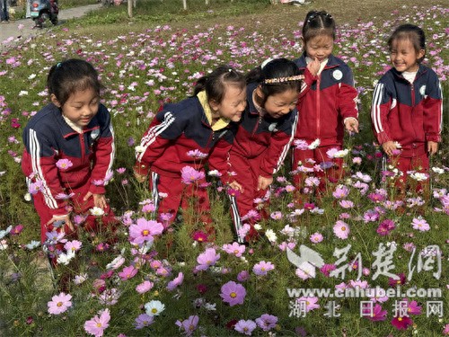 pg下载 襄阳樊城二幼衡庄分园：五感浸润自然 生态教育伴成长