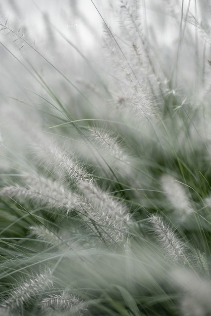 中年感情拿捏_蔡格尼克效应 情感留白_蔡格尼克效应生活应用