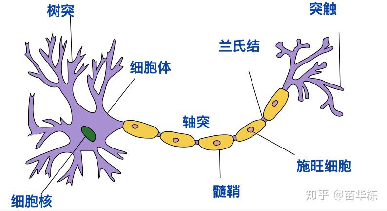 卷积在生活应用_卷积神经网络原理_CNN图像识别应用