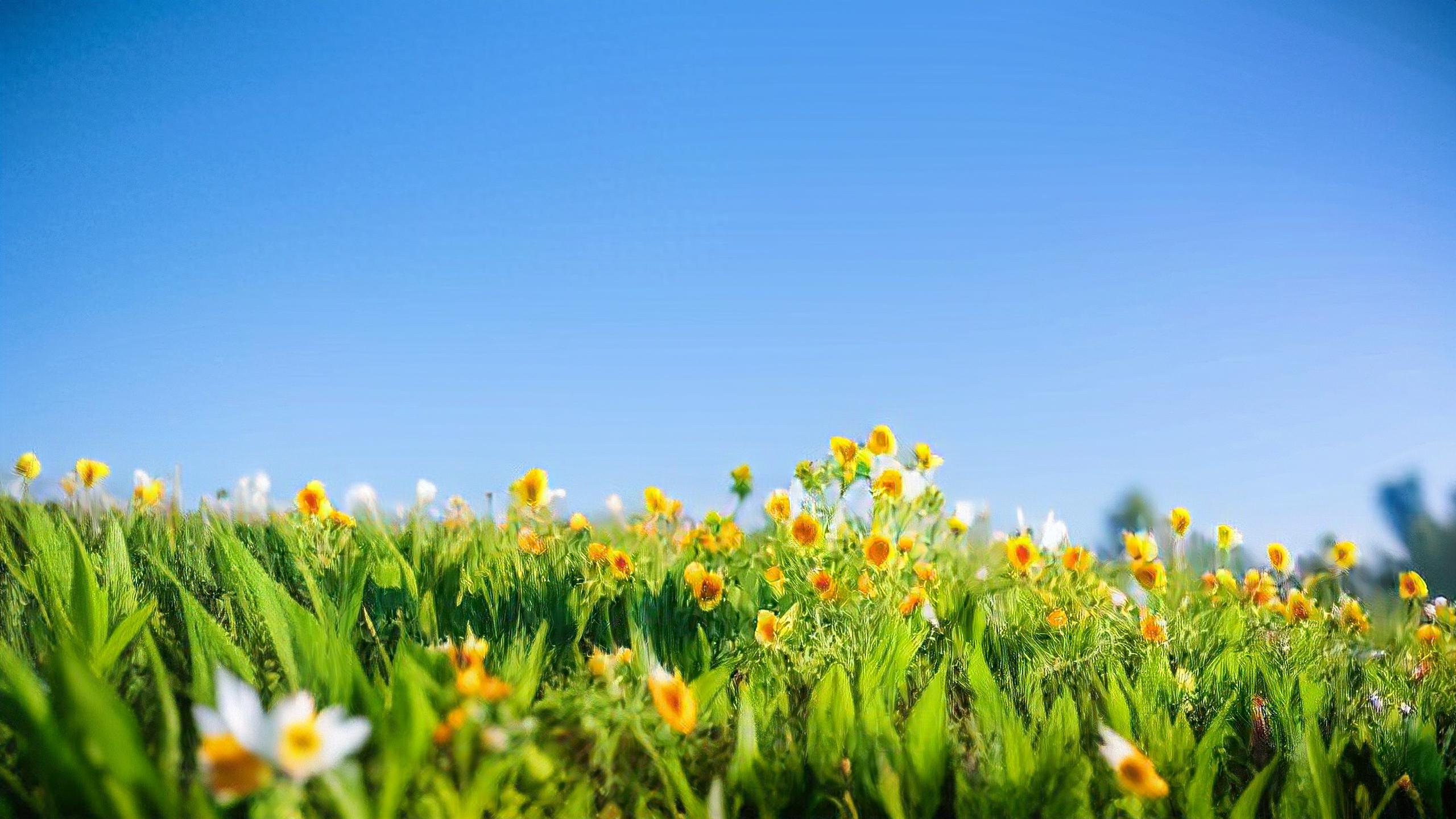 pg下载通道 什么是人脉：你同学是局长，你在超市打工，这个不是人脉；