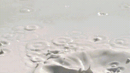 非牛顿流体生活应用_非牛顿流体特性 口香糖开椰子 剪切增稠现象