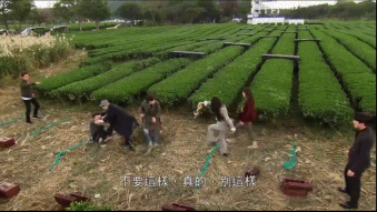 杀人游戏 新闻_新闻凶杀_新闻游戏百科