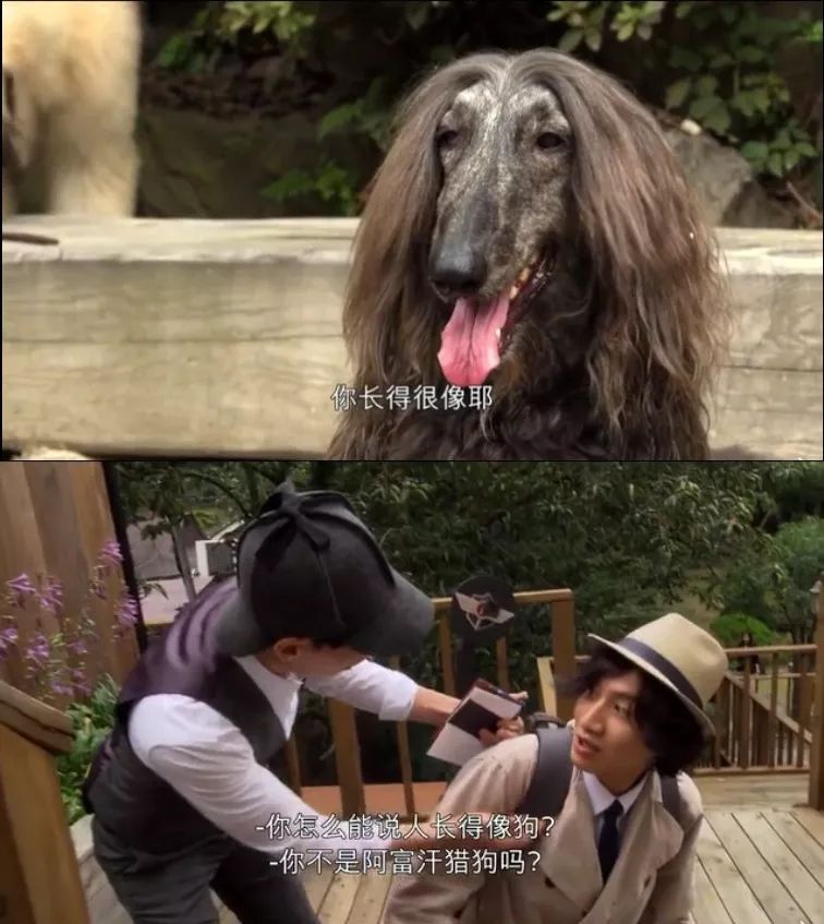 杀人游戏 新闻_新闻游戏百科_新闻凶杀