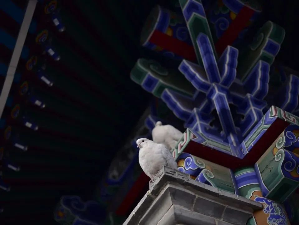 听诊器原理生活应用_伯努利原理生活应用_心脏听诊区及听诊顺序