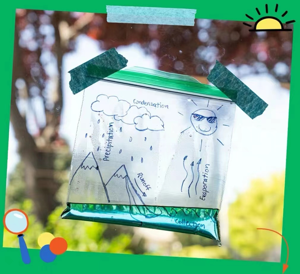 心脏听诊区及听诊顺序_听诊器原理生活应用_伯努利原理生活应用