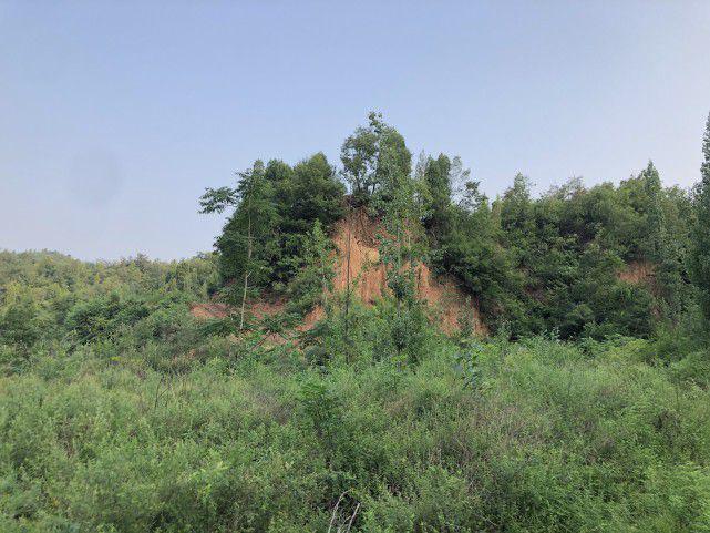 斗柄_斗柄指冬天下春歌曲_斗柄指冬天下春简谱