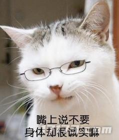 网易520发布会新作_网易游戏新闻_5月游戏版号过审信息