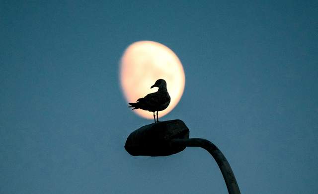 太上头了！为什么才知道这8款优质黑科技APP？