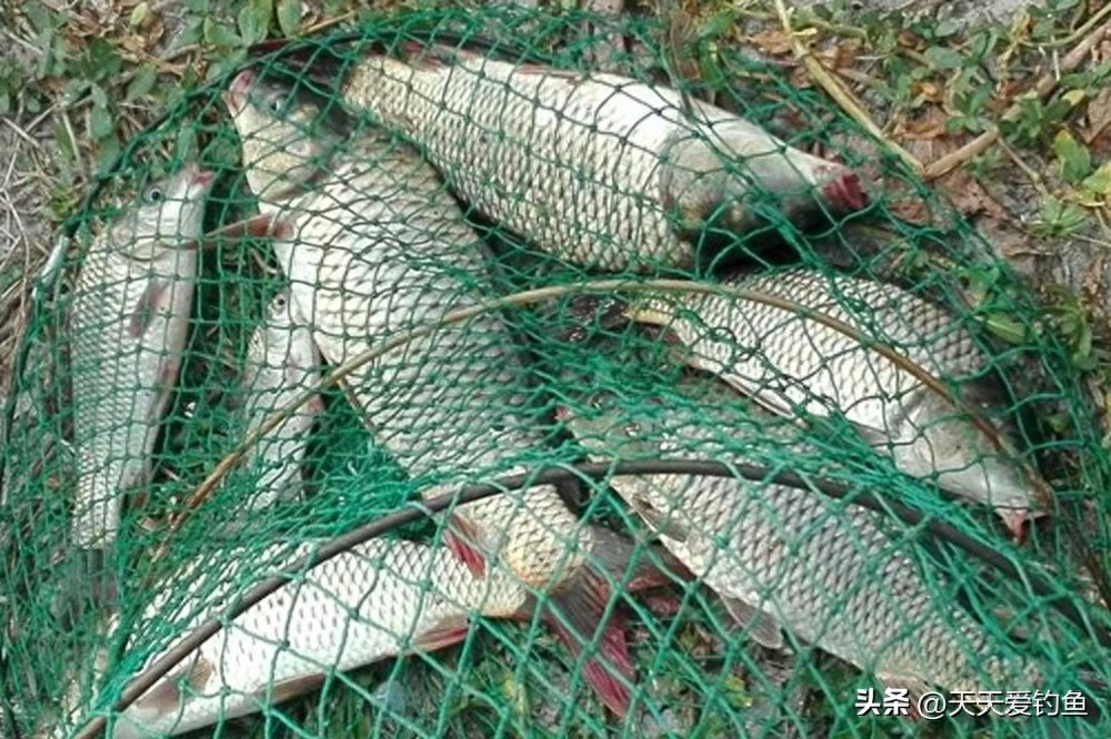 钓鱼技巧：调漂之精髓在于找底，学会方法调漂随意