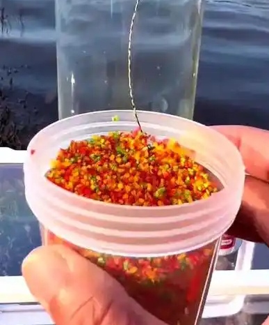 传统钓红虫配摇三摇？避杂鱼钓大鲫更稳