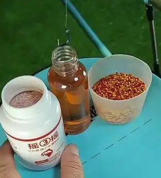 用红虫钓鱼怎么调漂_传统钓红虫搭摇三摇_红虫搭配摇三摇避杂鱼技巧