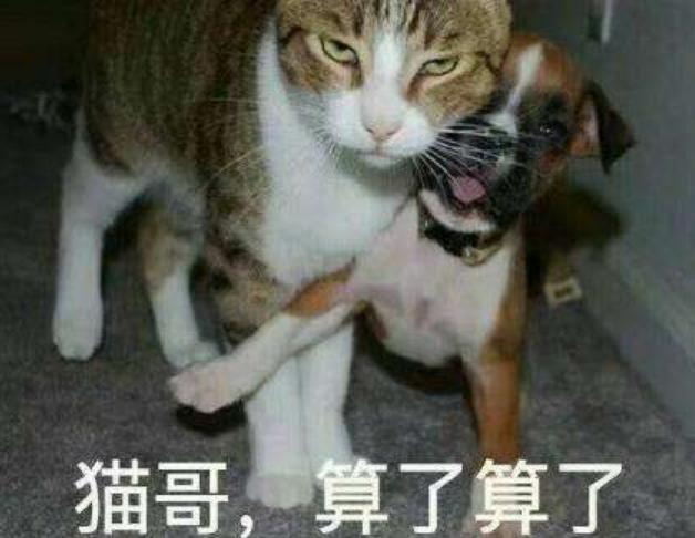 适合异地恋情侣的手游推荐_情侣在家玩手游过情人节_游戏情人节新闻