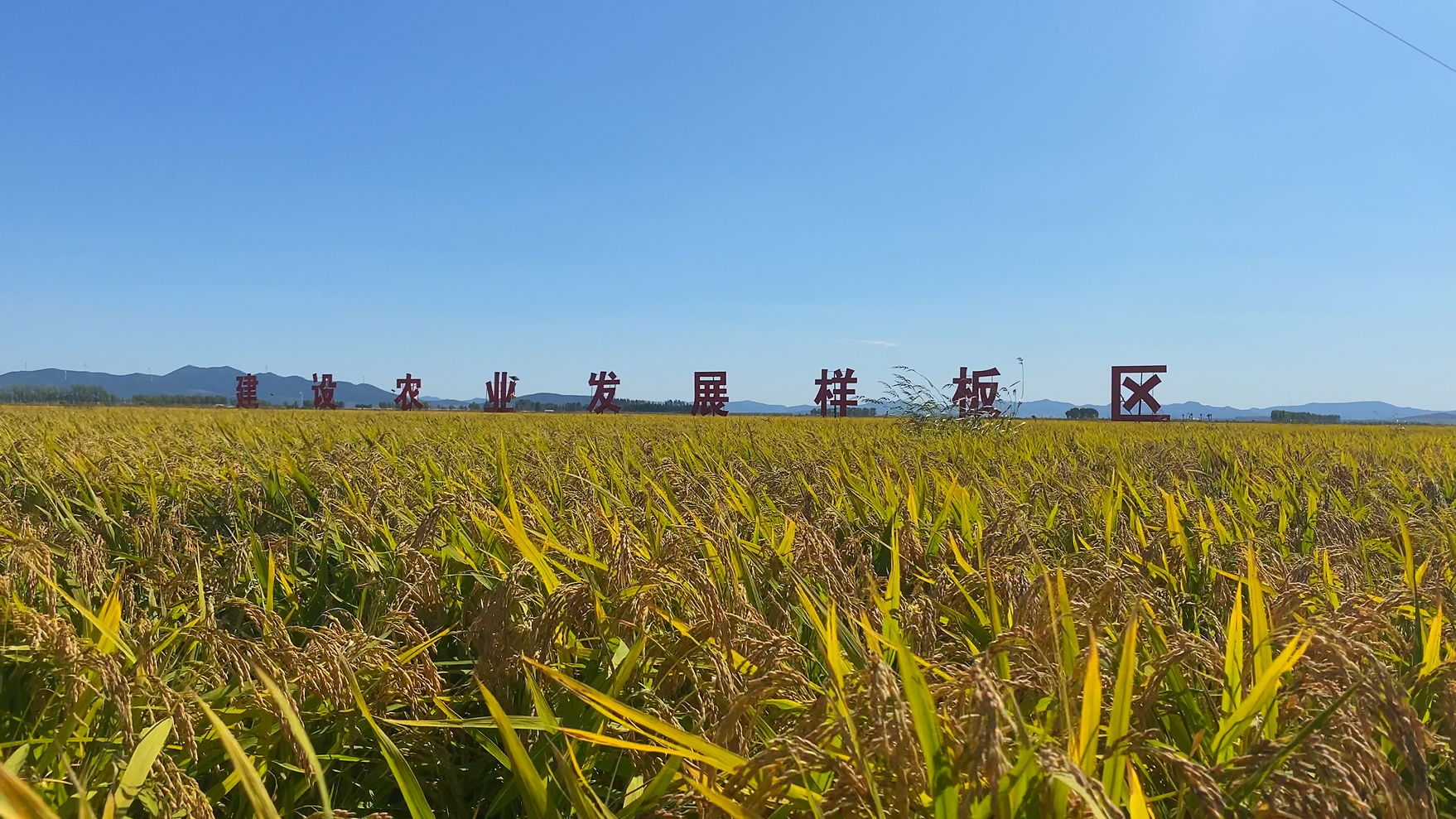 汤原县旅游景点_汤原县红色旅游_汤原贴吧最新消息