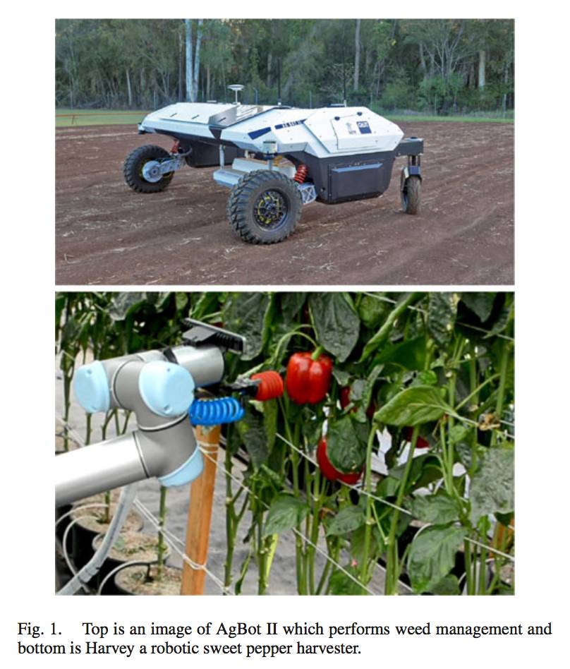 卷积应用_卷积在生活应用_卷积的应用实例