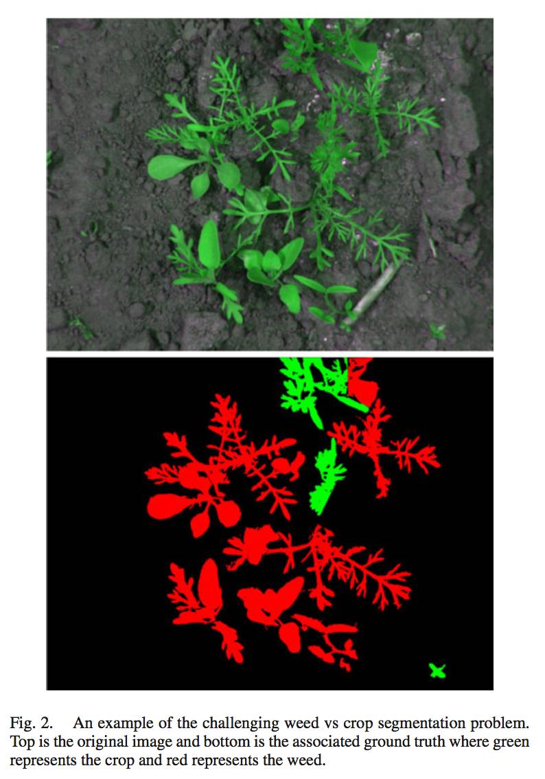 卷积应用_卷积在生活应用_卷积的应用实例
