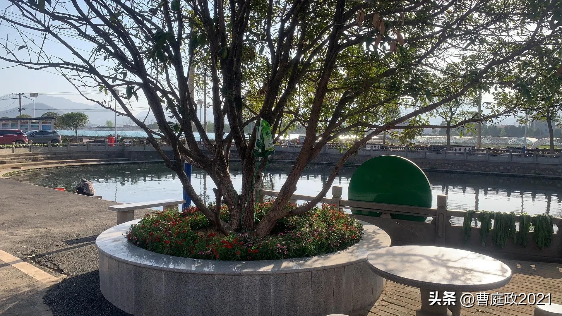 蔡格尼克记忆效应_蔡格尼克效应生活应用_任务未完成记忆