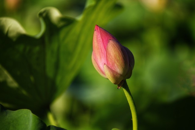 遇见你，我的幸福_遇见的温暖_人生若只如初见