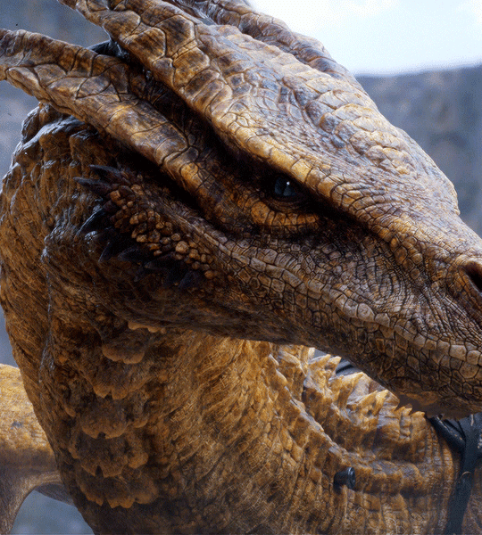 权力的游戏 龙之家族 剧情解析_权力的游戏 新闻