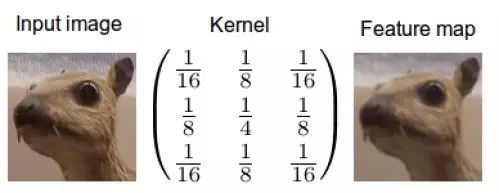 卷积神经网络特征提取_深度学习卷积原理_卷积在生活应用