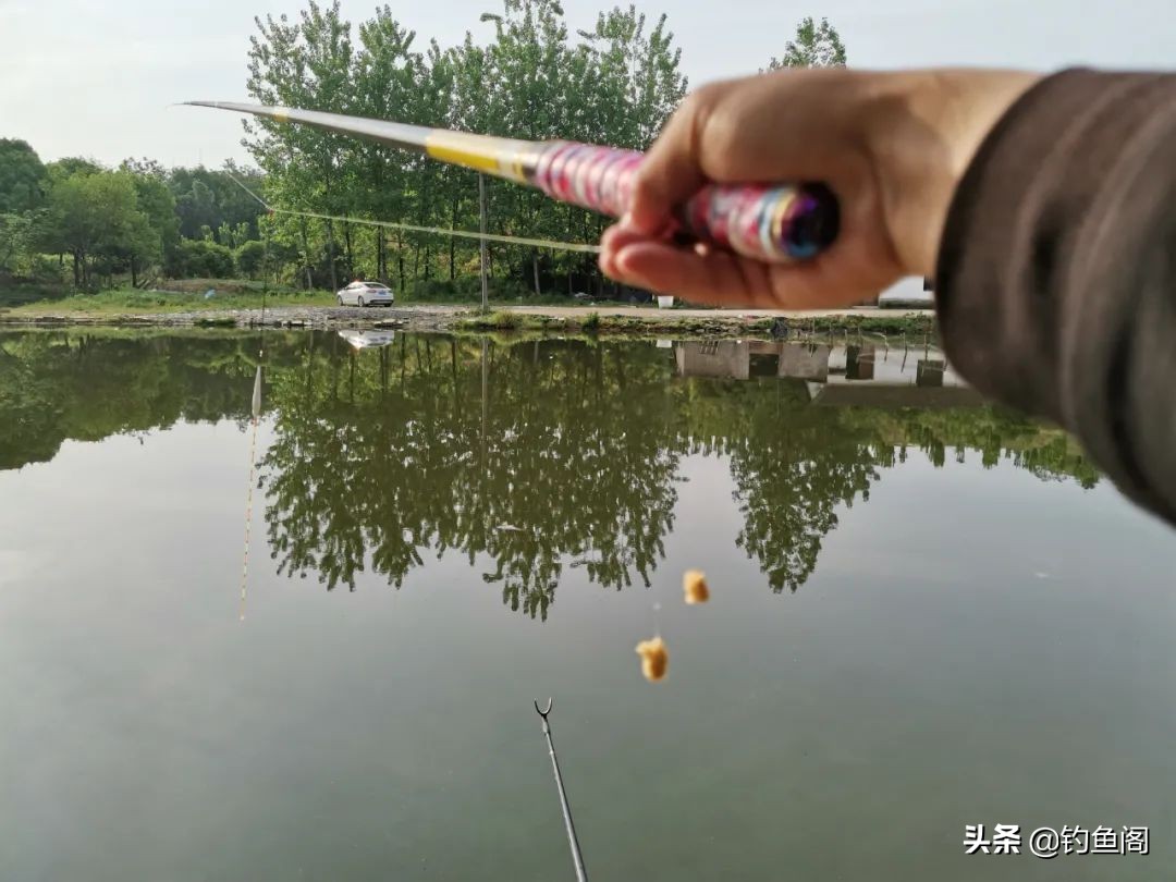 双钩到底野钓鲫鱼优势_冬季野钓鲫鱼调漂_鱼钩挂红虫调漂