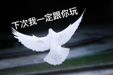 牛顿流体的原理是什么_牛顿流体举例子_非牛顿流体生活应用