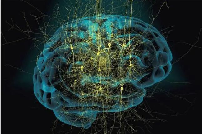 沉迷游戏新闻事件_沉迷游戏的新闻案例素材_沉迷游戏伤身新闻